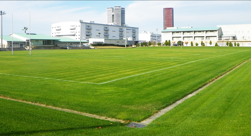 天然芝(スポーツターフ)